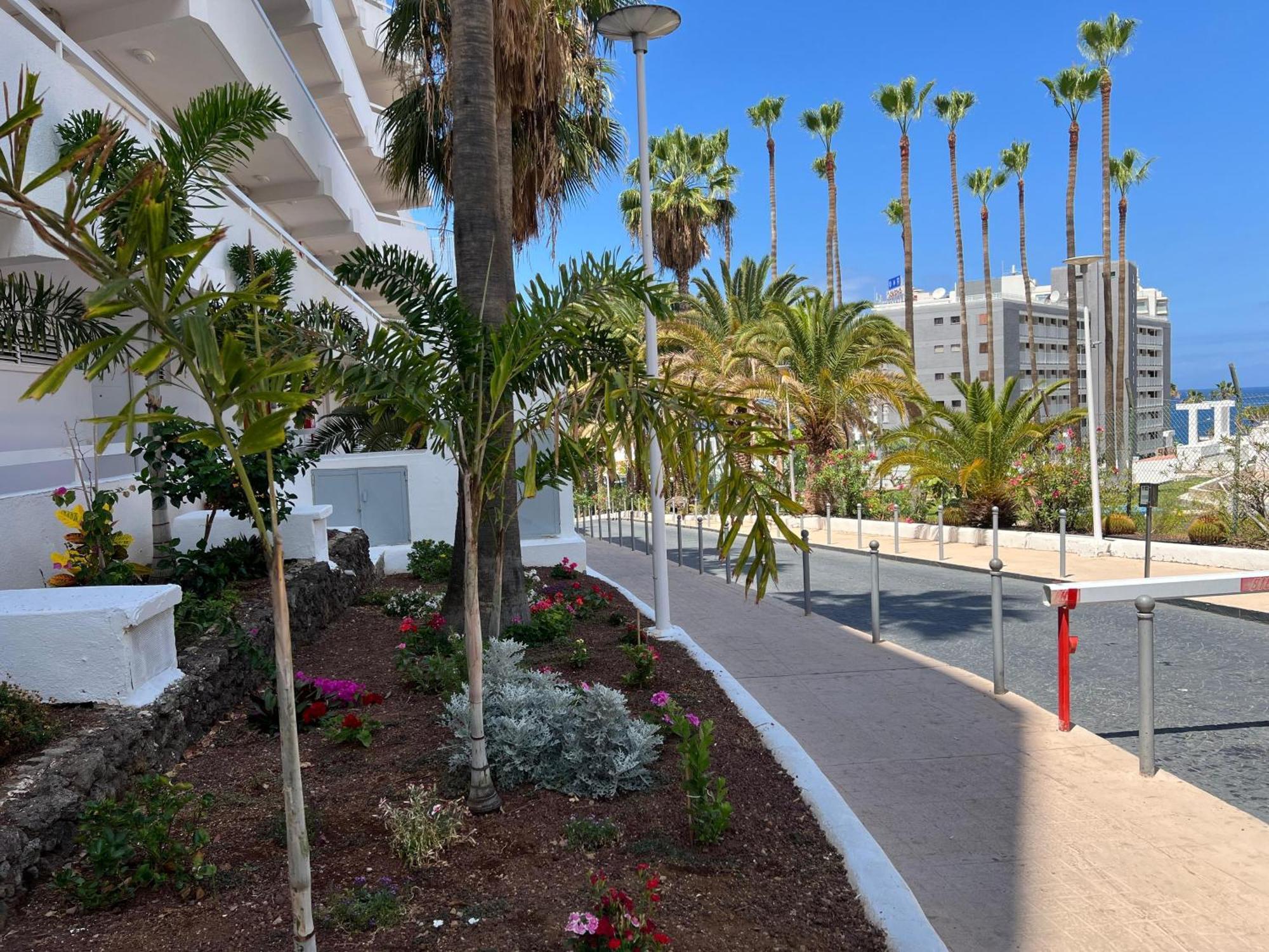 Tenerife Sea View 216 Playa Fanabe Exterior foto